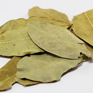 BAY LEAF