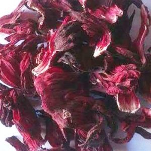 HIBISCUS