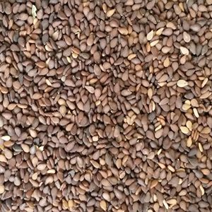 REDSESAME